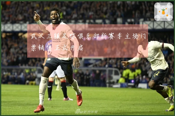 武汉三镇足球俱乐部新赛季主场门票销售正式开启