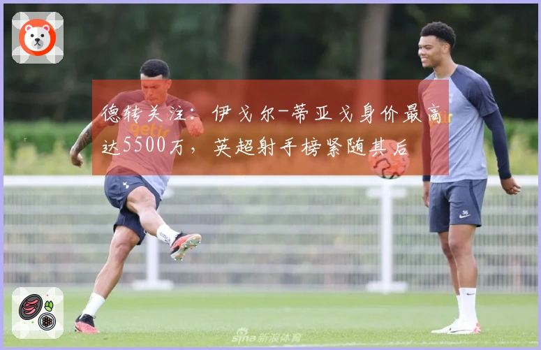 德转关注：伊戈尔-蒂亚戈身价最高达5500万，英超射手榜紧随其后